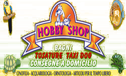 HOBBY SHOP-LOGO
