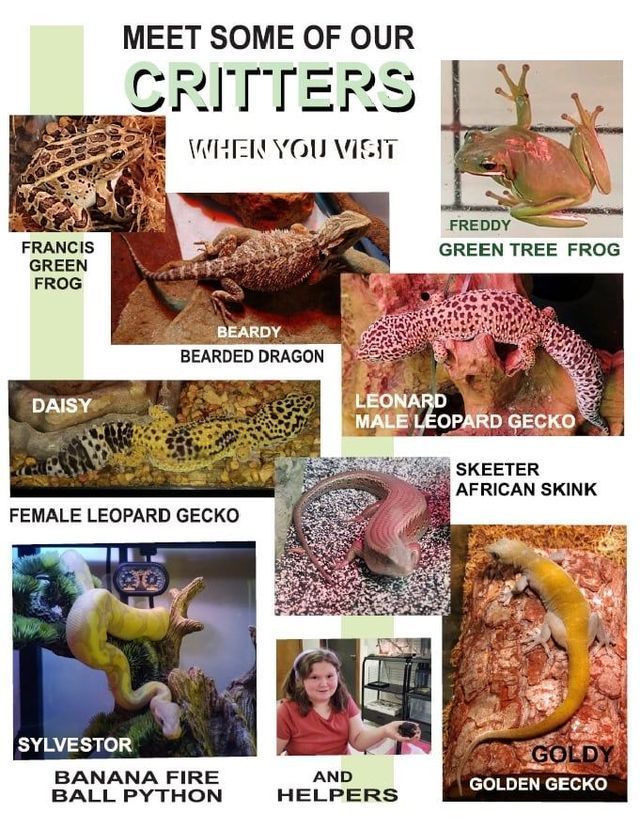 Different Kinds of Critters