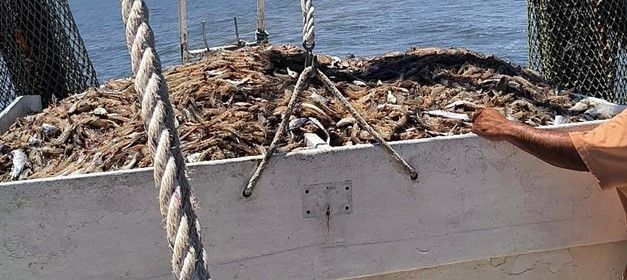 A man is reaching into a bucket of fish on a boat.