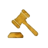 Exécution forcée