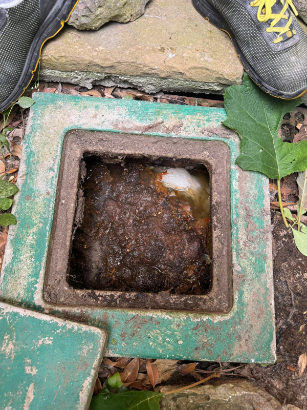 Una scatola di derivazione quadrata e aperta, interrata, piena di melma scura e umida e una piccola macchia di detriti bianchi.