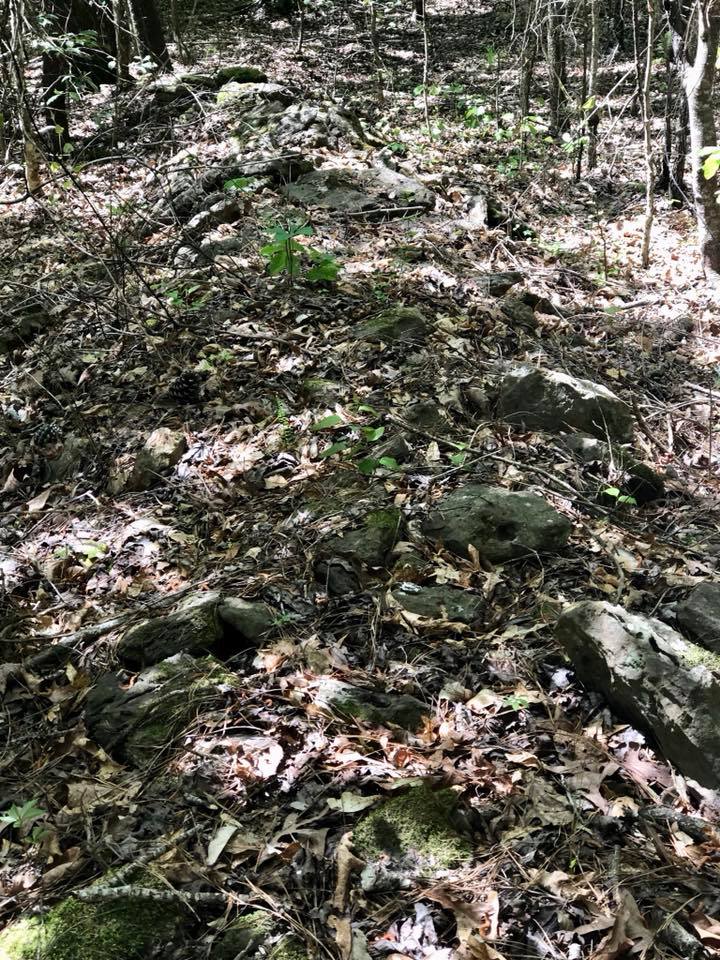 Forest Management | Timber Management | Forest Harvesting | Timber Harvesting | Sustainable Forestry | Forest Management Planning | Timber Management Plan | Forester | Reforestation | Logging Companies | Timber Company | Pulpwood Company | Timber Consultants | Forestry Consultants | Timber Valuation | Timberland Resource Consultants | Camden, AR | Central Arkansas | South Arkansas | North Arkansas | East Arkansas | West Arkansas