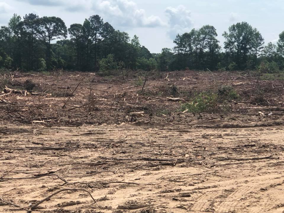 Forest Management | Timber Management | Forest Harvesting | Timber Harvesting | Sustainable Forestry | Forest Management Planning | Timber Management Plan | Forester | Reforestation | Logging Companies | Timber Company | Pulpwood Company | Timber Consultants | Forestry Consultants | Timber Valuation | Timberland Resource Consultants | Camden, AR | Central Arkansas | South Arkansas | North Arkansas | East Arkansas | West Arkansas