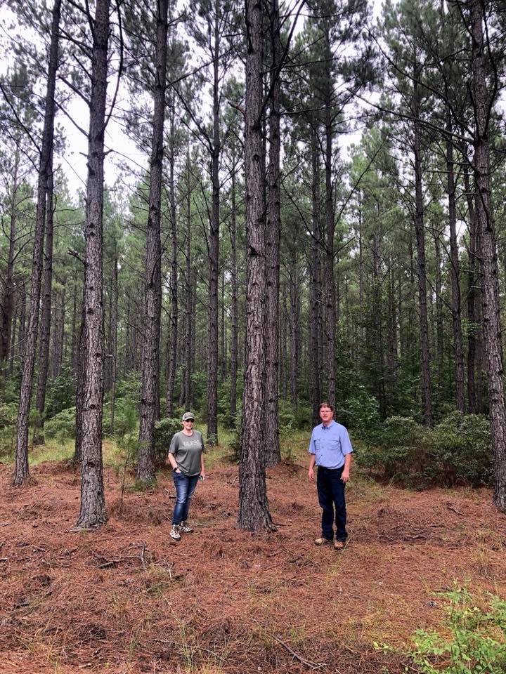 Forest Management | Timber Management | Forest Harvesting | Timber Harvesting | Sustainable Forestry | Forest Management Planning | Timber Management Plan | Forester | Reforestation | Logging Companies | Timber Company | Pulpwood Company | Timber Consultants | Forestry Consultants | Timber Valuation | Timberland Resource Consultants | Camden, AR | Central Arkansas | South Arkansas | North Arkansas | East Arkansas | West Arkansas