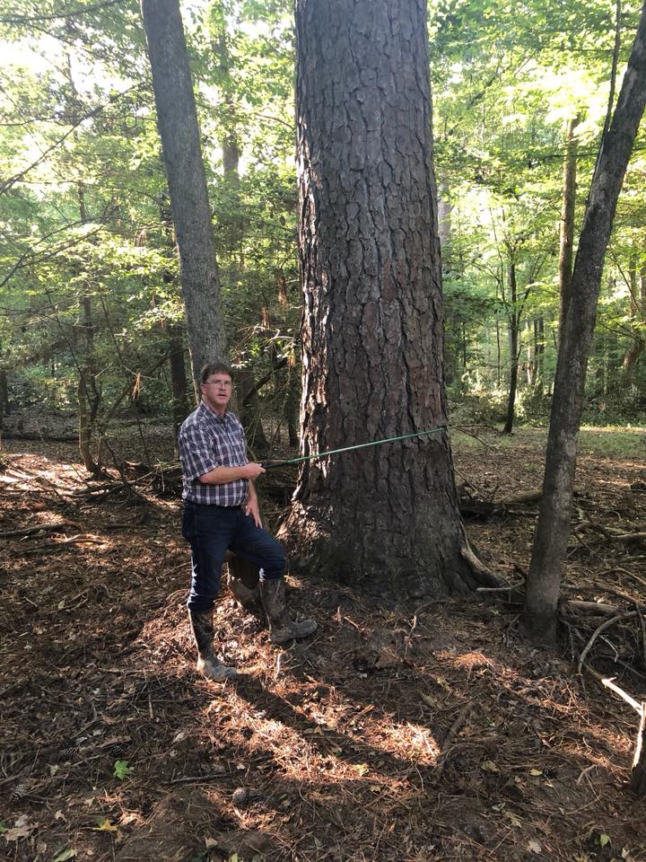 Forest Management | Timber Management | Forest Harvesting | Timber Harvesting | Sustainable Forestry | Forest Management Planning | Timber Management Plan | Forester | Reforestation | Logging Companies | Timber Company | Pulpwood Company | Timber Consultants | Forestry Consultants | Timber Valuation | Timberland Resource Consultants | Camden, AR | Central Arkansas | South Arkansas | North Arkansas | East Arkansas | West Arkansas