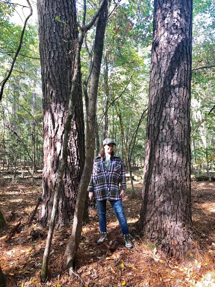 Forest Management | Timber Management | Forest Harvesting | Timber Harvesting | Sustainable Forestry | Forest Management Planning | Timber Management Plan | Forester | Reforestation | Logging Companies | Timber Company | Pulpwood Company | Timber Consultants | Forestry Consultants | Timber Valuation | Timberland Resource Consultants | Camden, AR | Central Arkansas | South Arkansas | North Arkansas | East Arkansas | West Arkansas