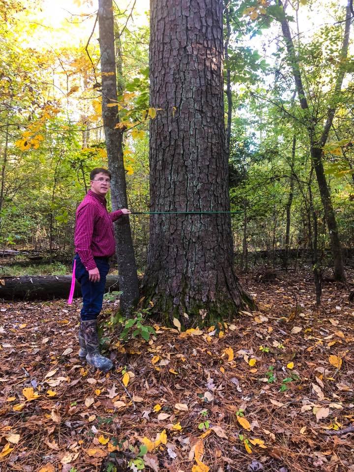 Forest Management | Timber Management | Forest Harvesting | Timber Harvesting | Sustainable Forestry | Forest Management Planning | Timber Management Plan | Forester | Reforestation | Logging Companies | Timber Company | Pulpwood Company | Timber Consultants | Forestry Consultants | Timber Valuation | Timberland Resource Consultants | Camden, AR | Central Arkansas | South Arkansas | North Arkansas | East Arkansas | West Arkansas