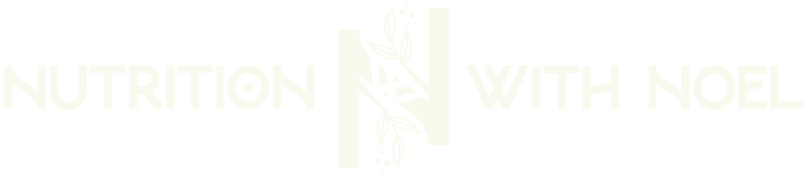 NWN logo