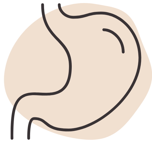 A line drawing of a person 's stomach on a beige background.