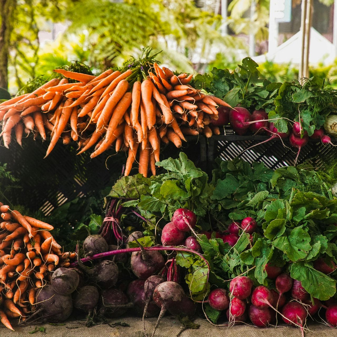 farmers market vegetables