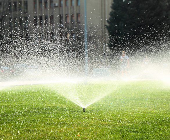Garden Sprinkler On The Green Lawn — Chattanooga, TN — Coddington Enterprise