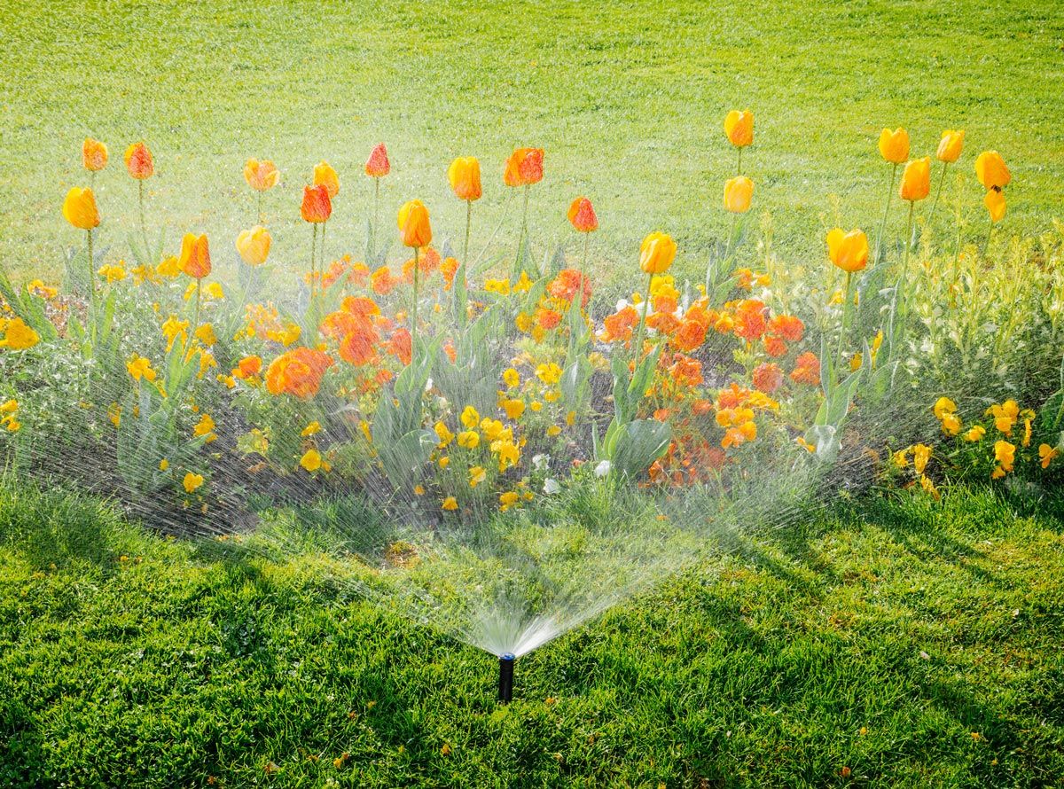 Watering Orange And Yellow Flowers — Chattanooga, TN — Coddington Enterprise