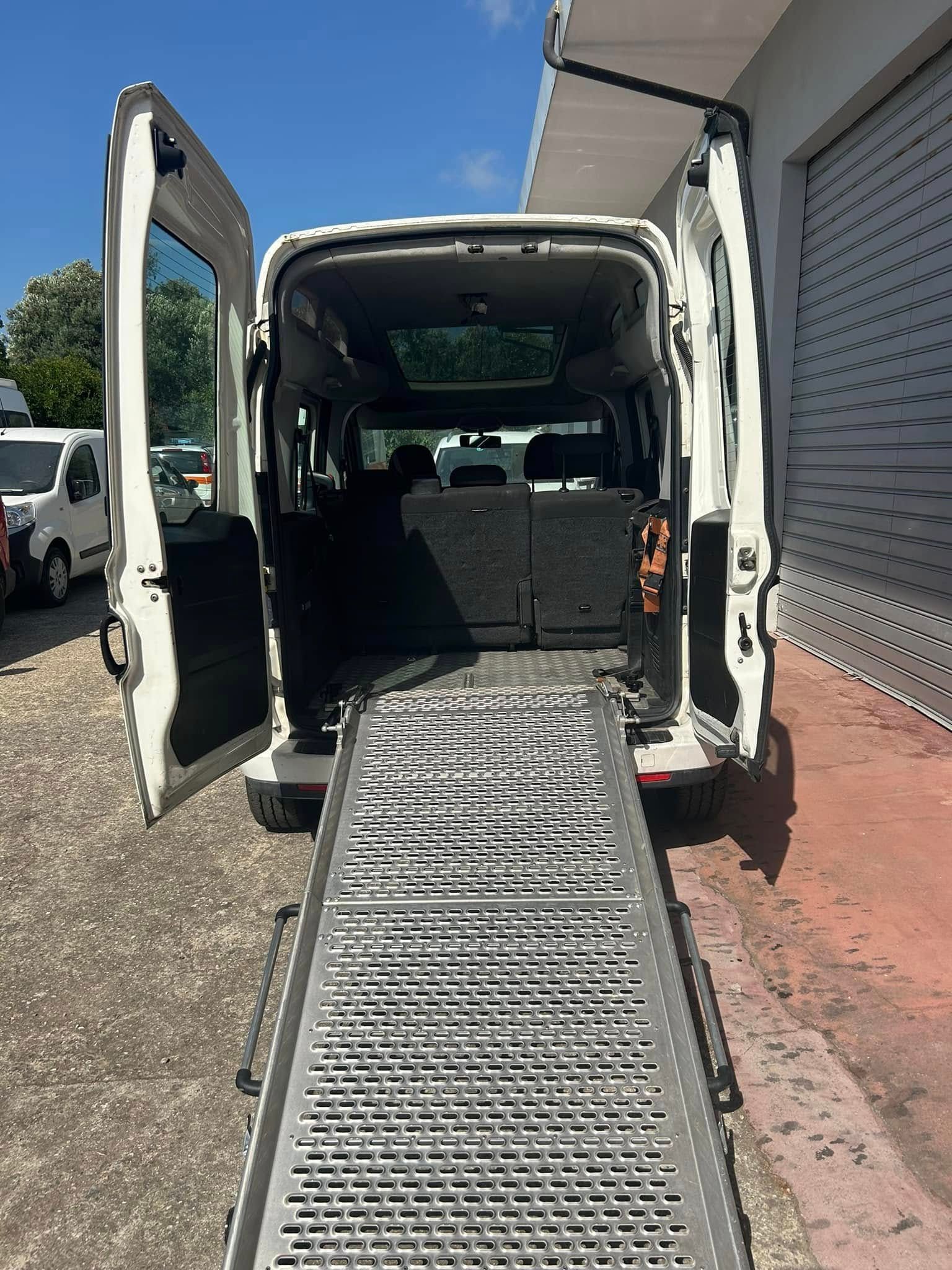 vendita veicoli per trasporto disabili a lamezia terme