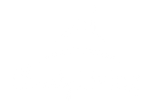 A white background with a few lines on it