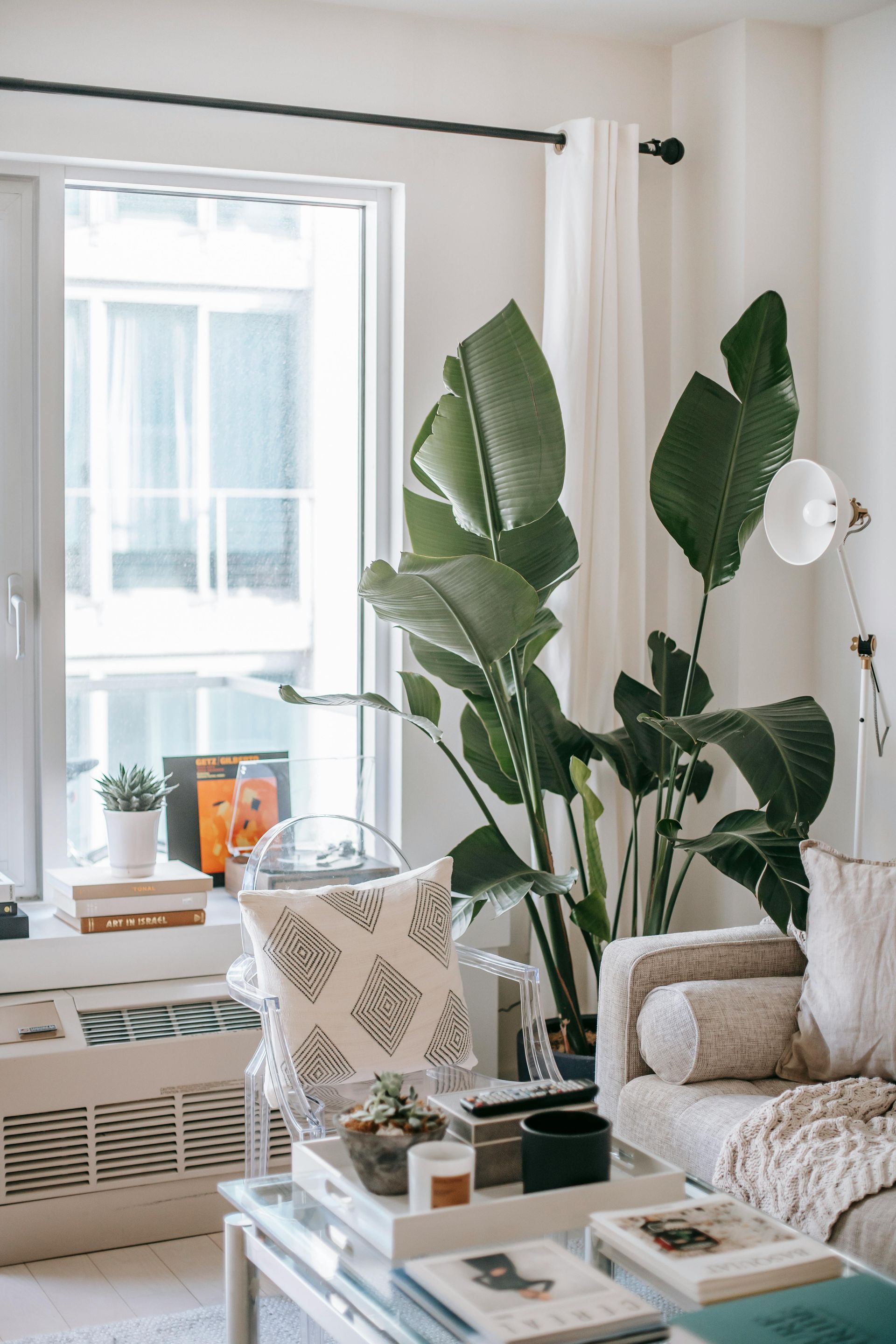 A living room with a couch , chair , coffee table and plants.