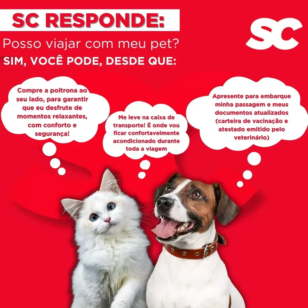 Um cachorro e um gato estão sentados um ao lado do outro em um fundo vermelho