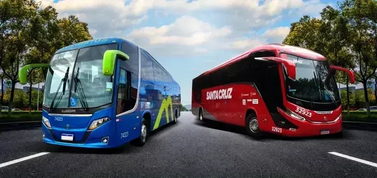Dois ônibus estão estacionados na beira de uma estrada.