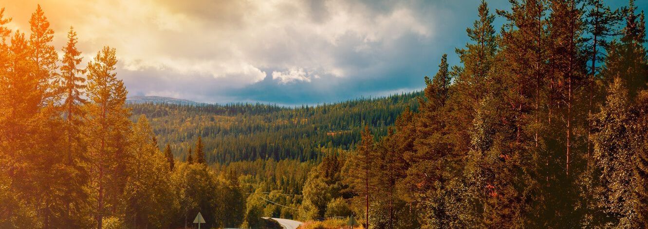 Imagem de banner com uma casa no meio de uma floresta com montanhas ao fundo.