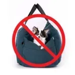 Um gato está sentado em um saco azul com um círculo poibido ao redor.
