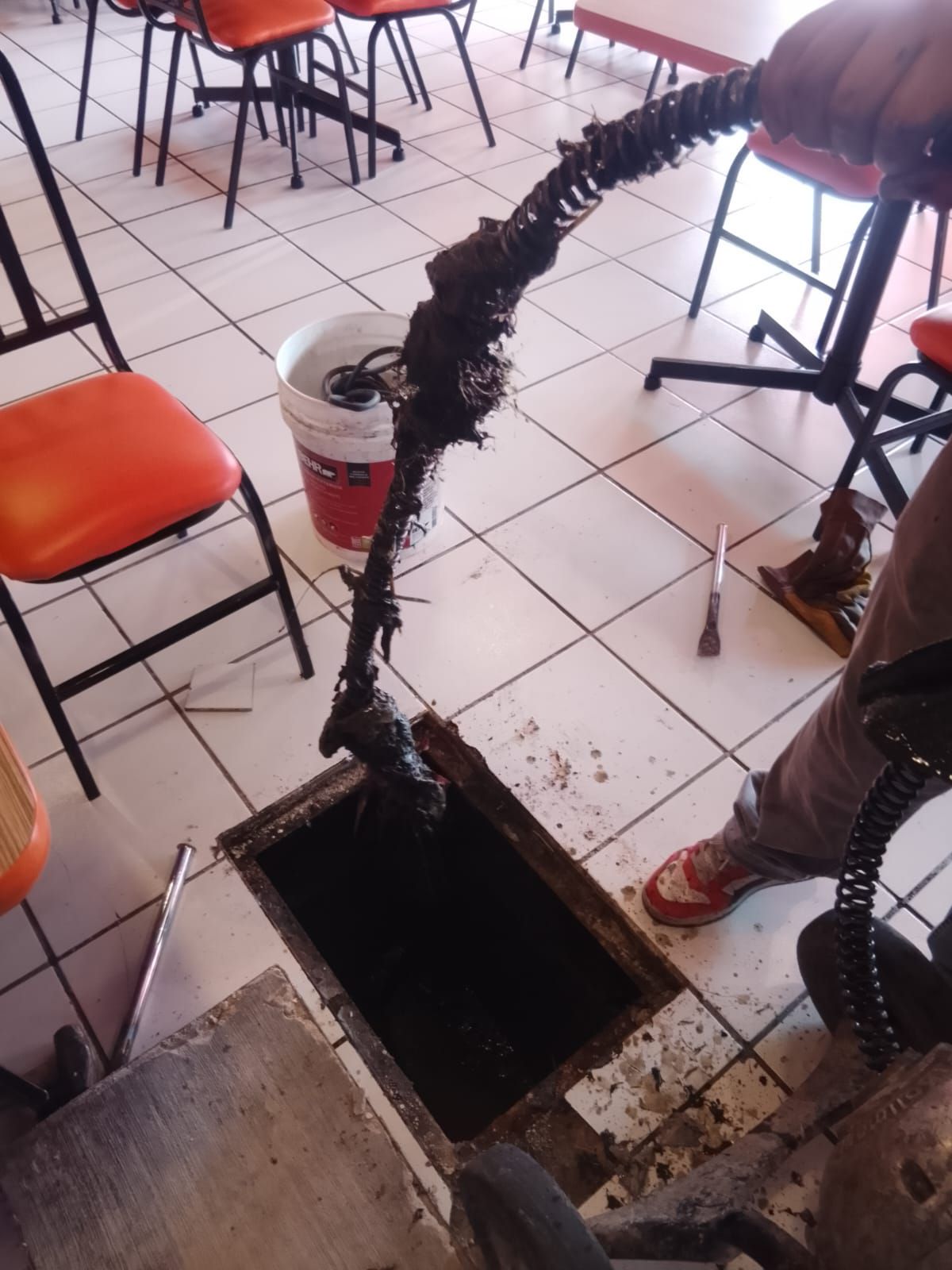 Limpieza de desagües en un restaurante. Una sonda de fontanero extrae una obstrucción del desagüe del suelo. Se ven un cubo y sillas.