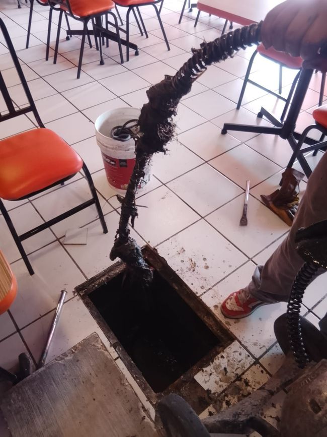 Una persona desatasca una tubería en un restaurante. Se extrae una larga y sucia herramienta desatascadora de la tubería abierta.