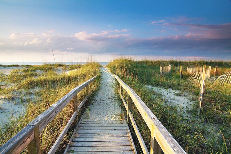 A wooden walkway leading to the beach.
