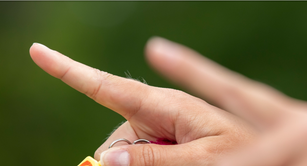 Vier Nederlandse scheidsrechters en officials aangewezen voor het WK in 2026