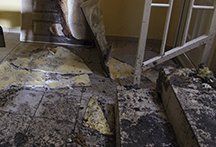 commercial mold remediation products