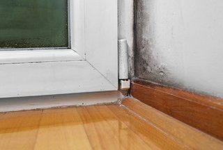 New Construction Mold Prevention