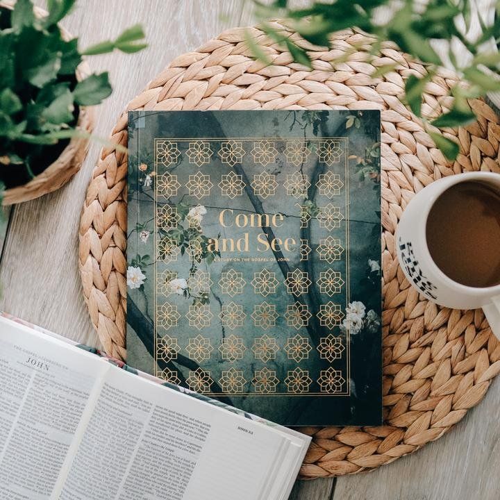 Cover of Come and See Bible study by Daily Grace Co