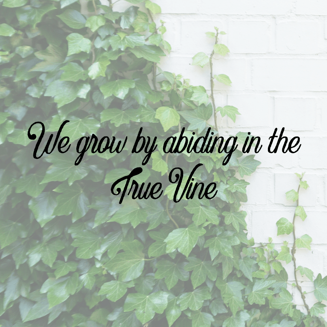 We grow by abiding in the True Vine