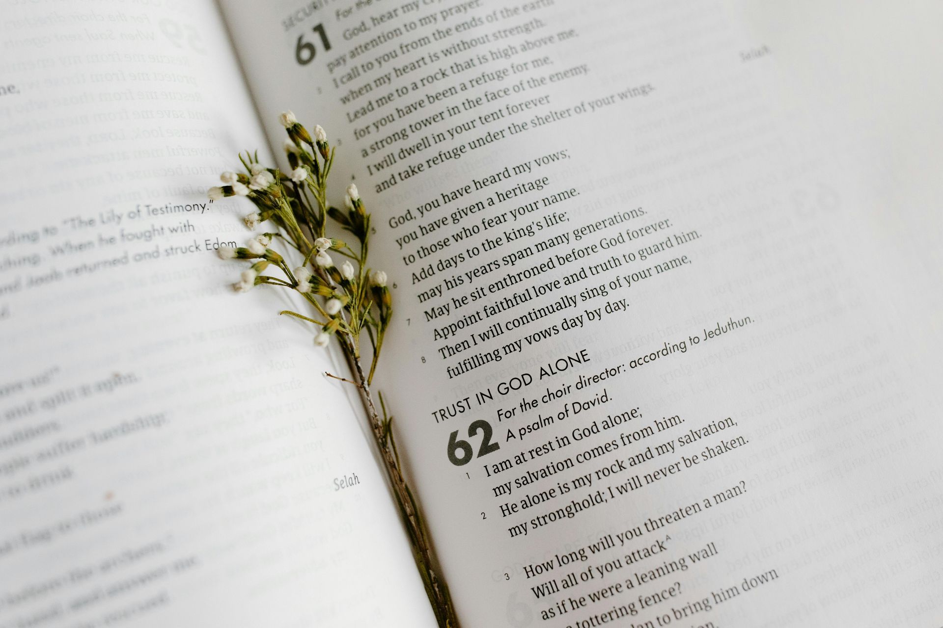 Bible open to Psalms | Bible Verses from Psalms about Trusting God