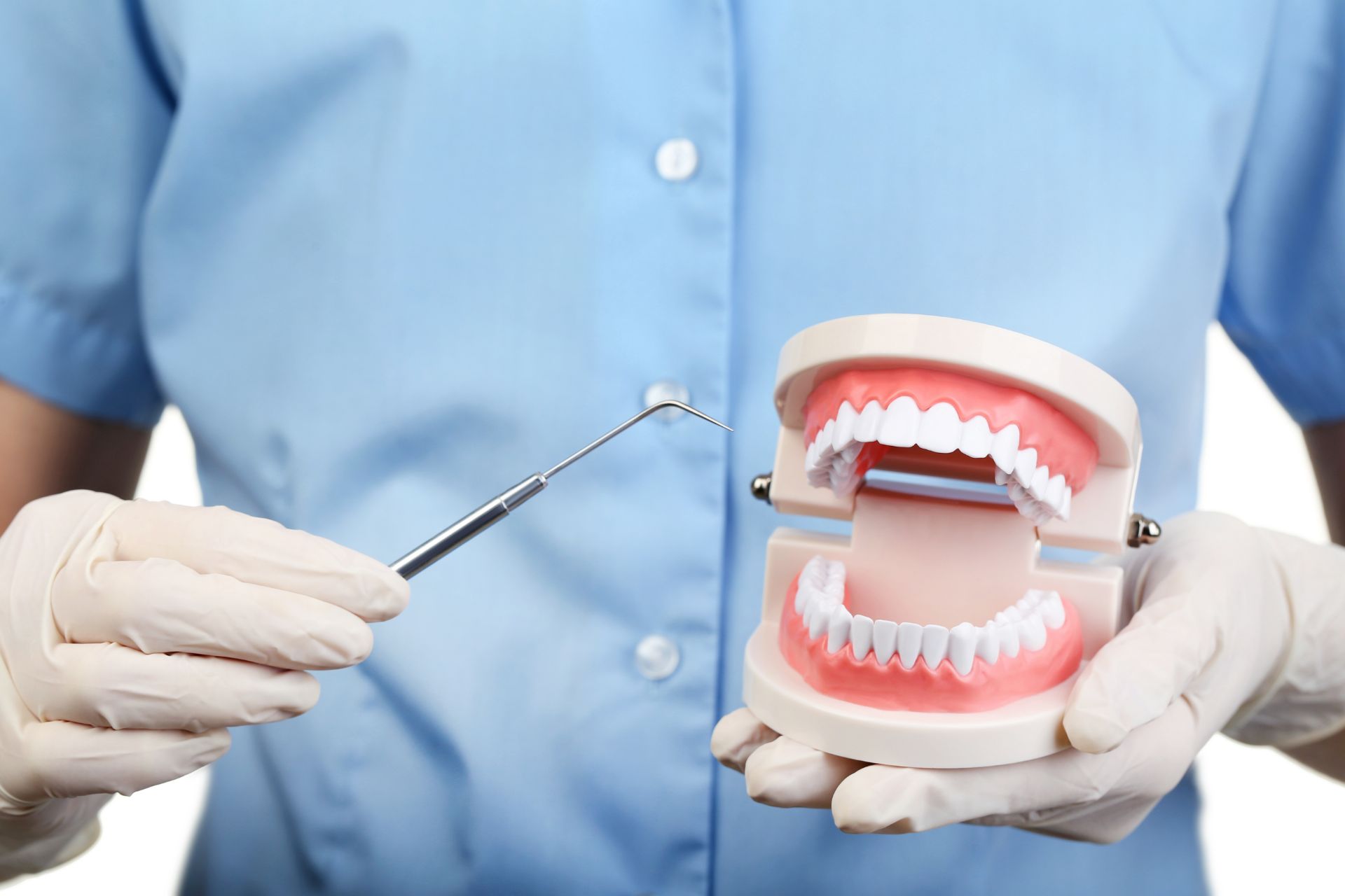 Dentist showing model of teeth