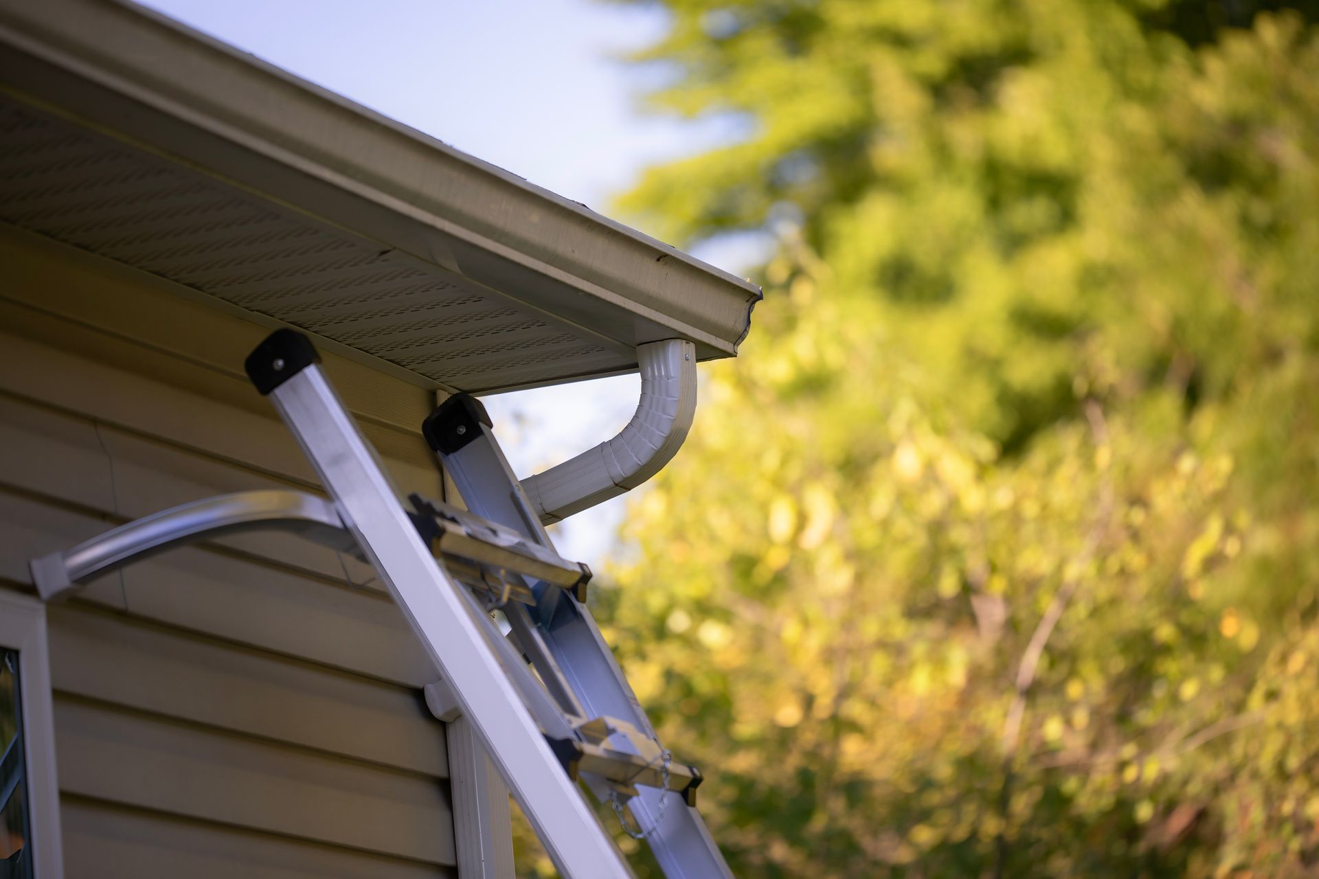 Ladder leaning on beige house with gutter and downspout, trees in background