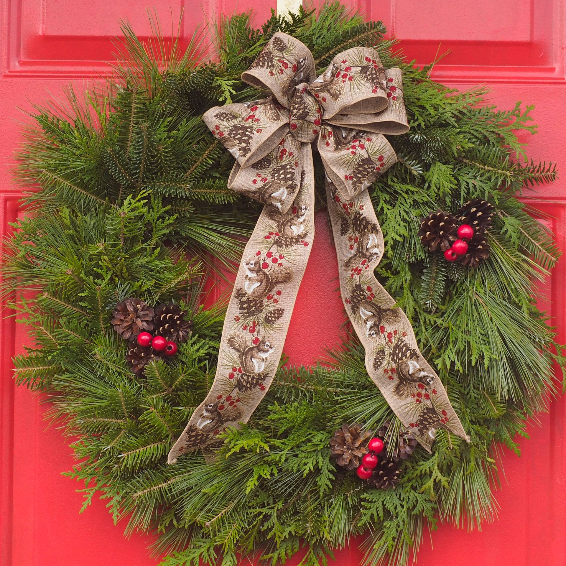 Green Christmas wreath on red door.