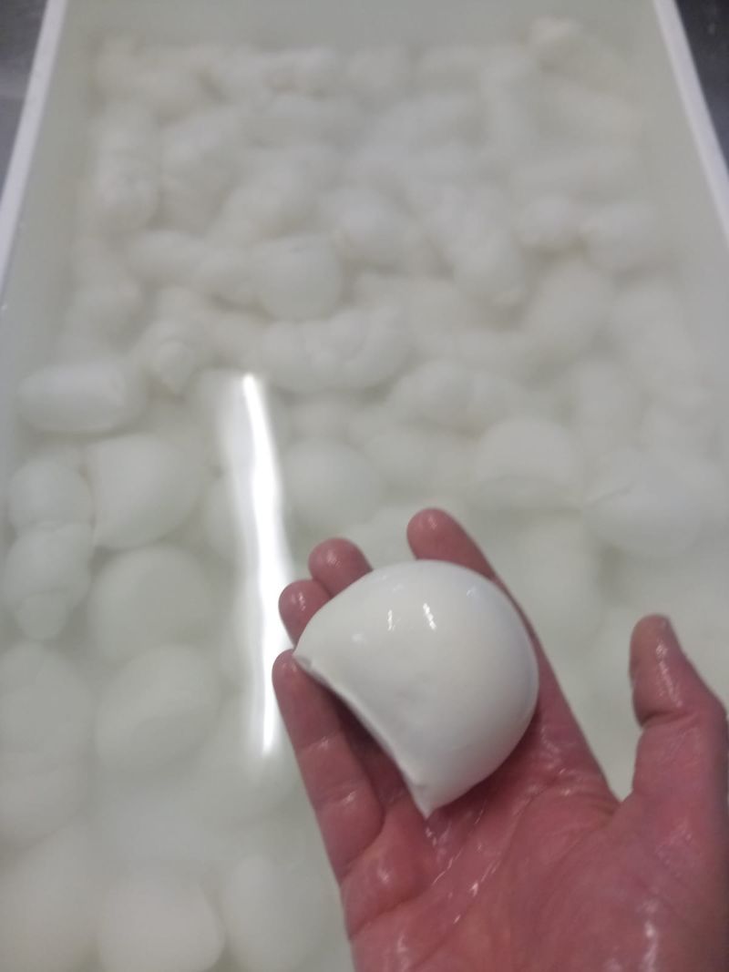 Mozzarella