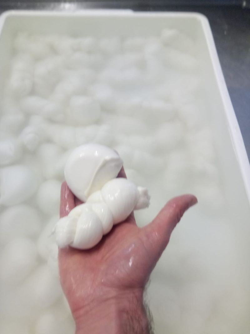Mozzarelline
