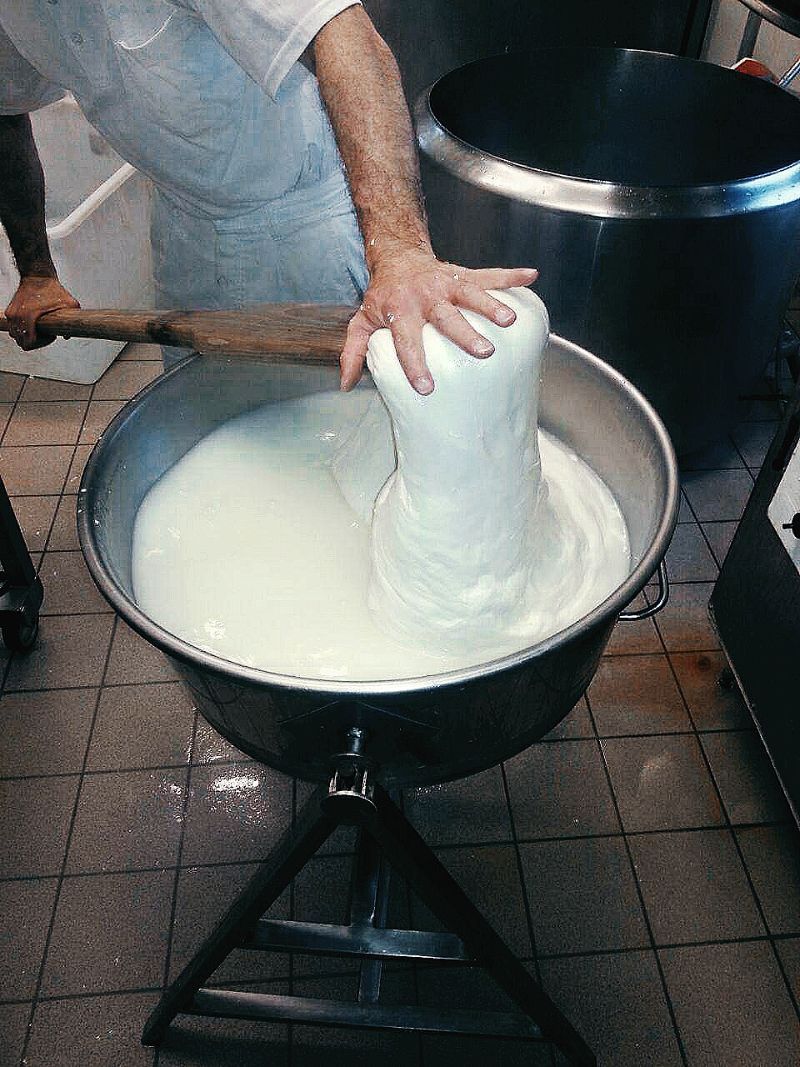 Produzione mozzarella