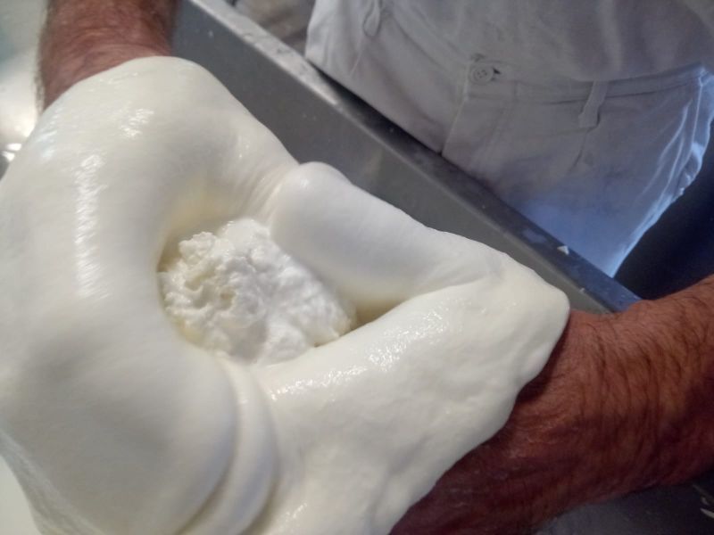 Mozzarelle fresche