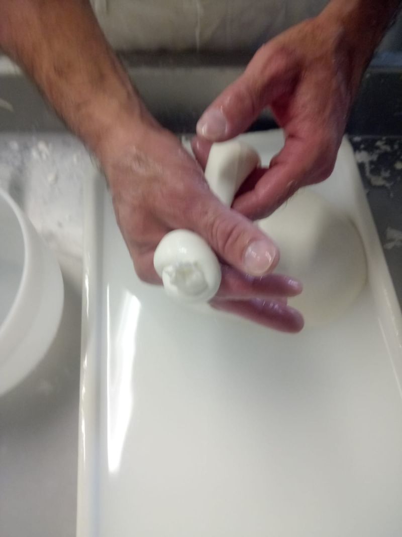 Bocconcini di mozzarella