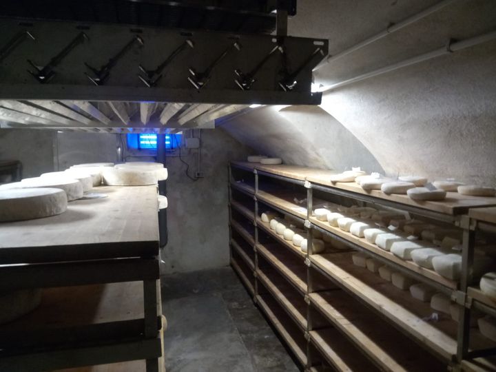 Produzione locale di formaggi