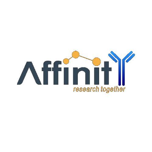 Affinity（Affinity Biosciences）