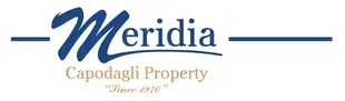 Meridia logo - linked to home page