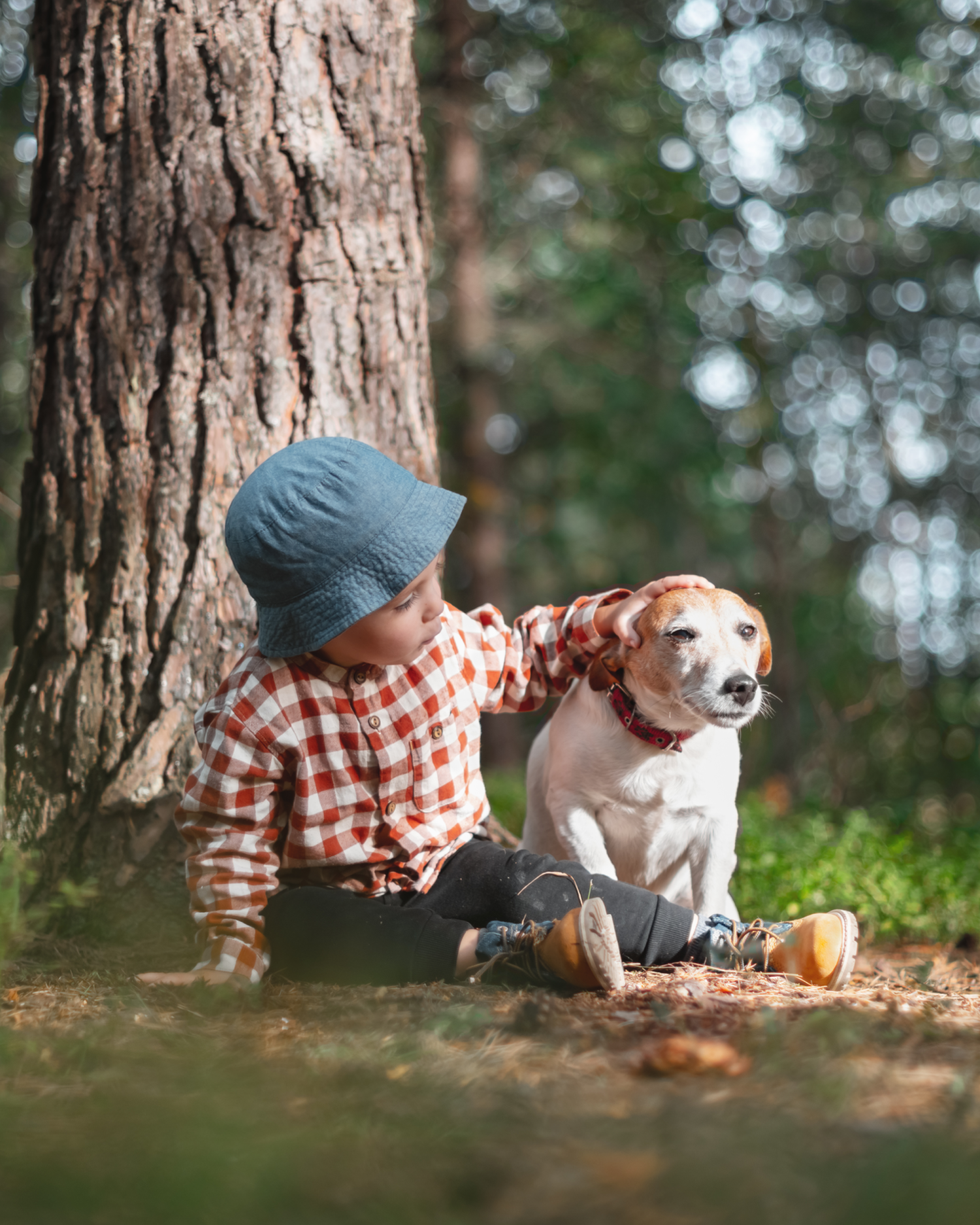 A little boy is sitting next to a dog in the woods.