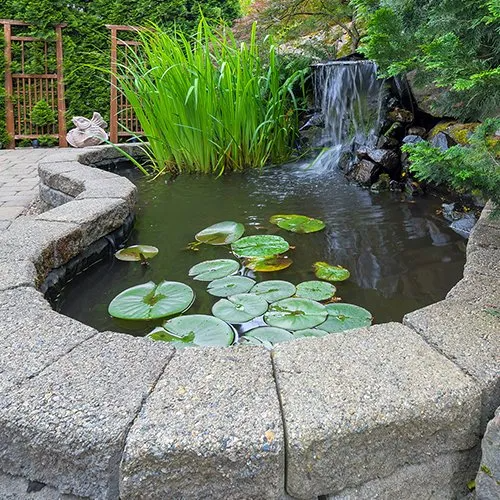 Pond with waterfall, lily pads, and stone border in a garden setting.