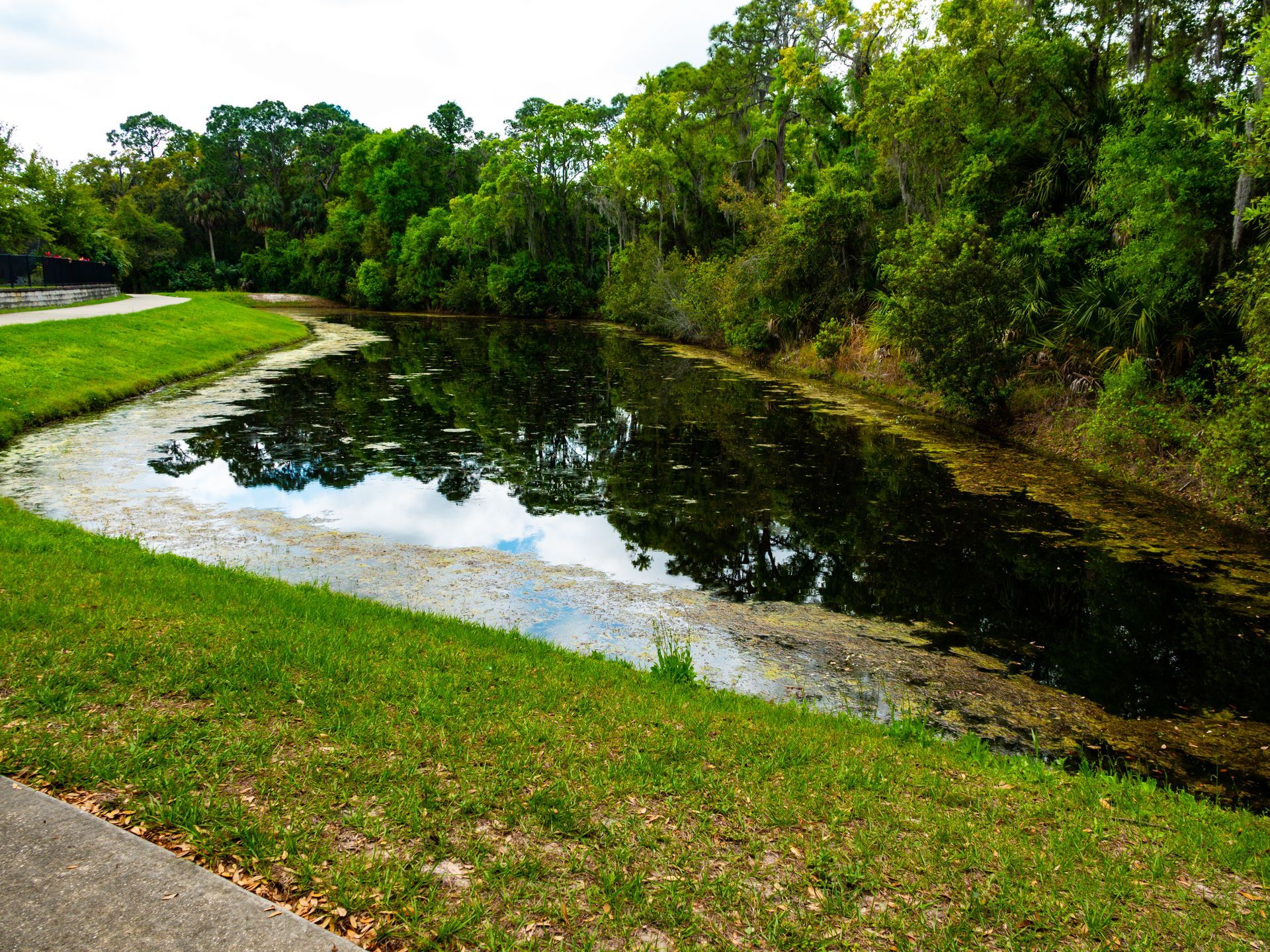 Pond surrounded by lush green grass and trees, reflecting the sky. Overcast day.