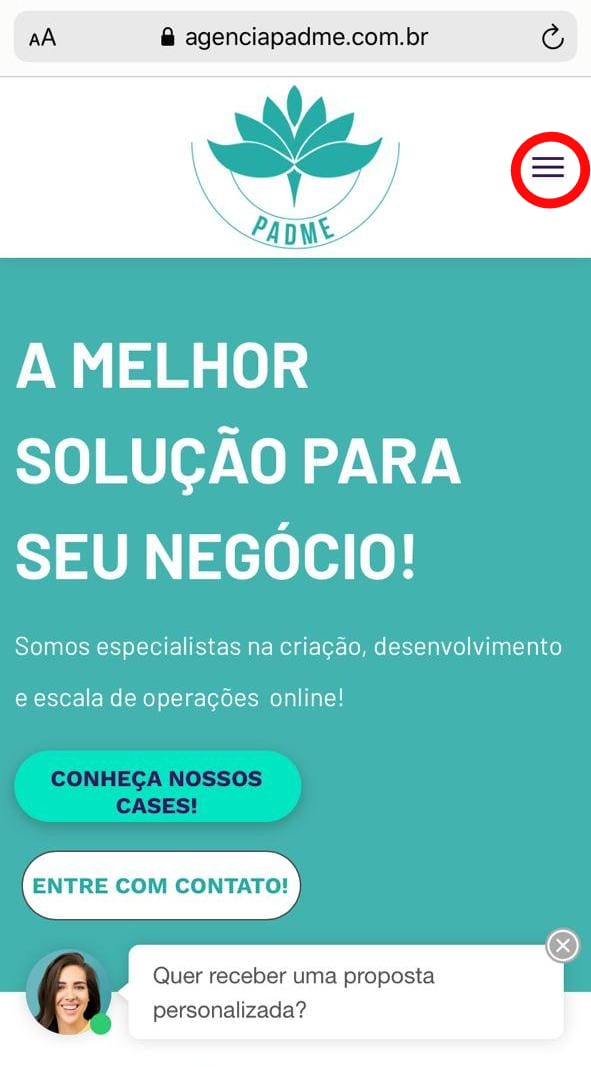 seo na prática