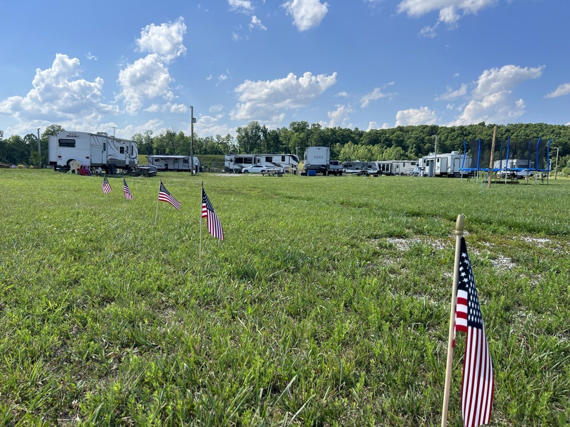 Field with flags