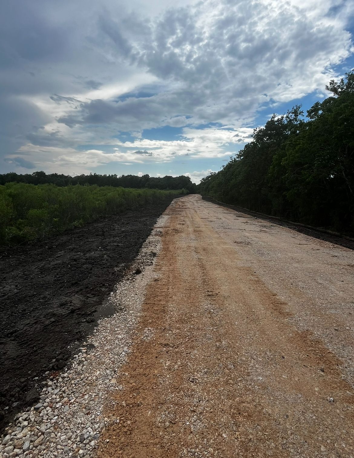A dirt road going through a field with trees on both sides