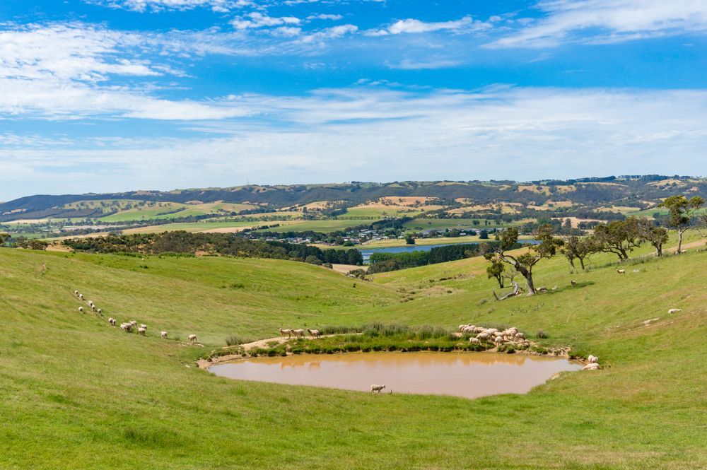 A Pond In the Middle of a Field — NDC Earthworks in Gympie, QLD